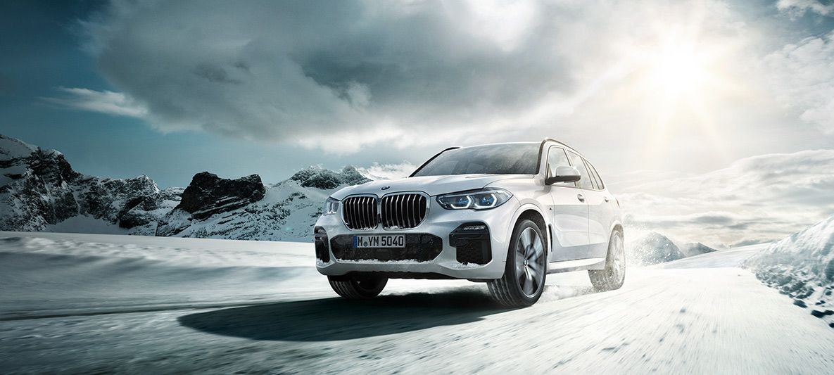 photo_in_container29194